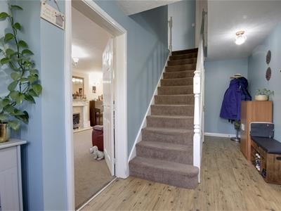 Picture 5